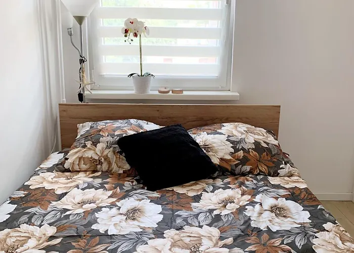 Daisy Apartment Danzig